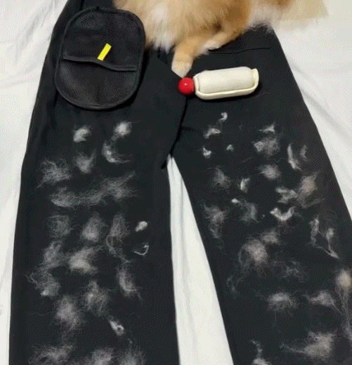 Patinouf™ – Gant anti-poils électrostatique pour chats & chiens