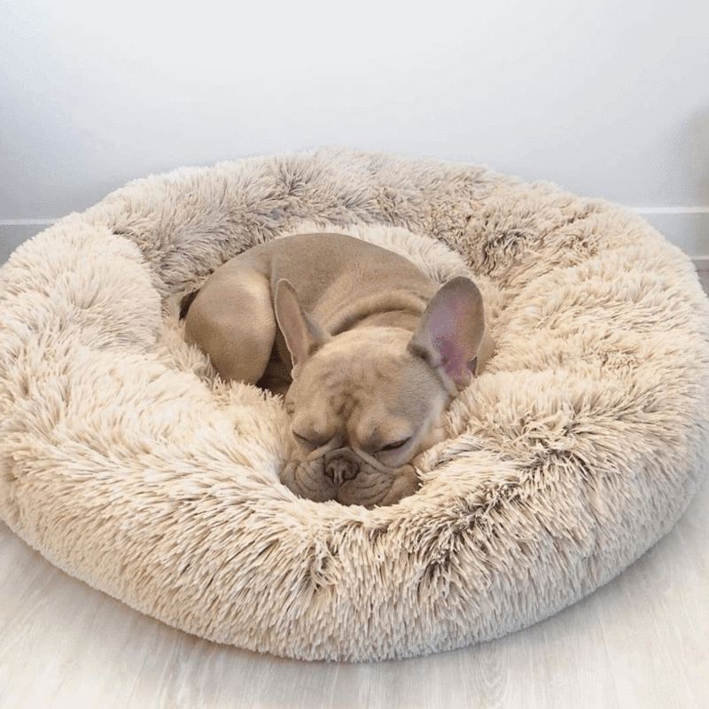 Doudoux™ – Coussin apaisant et orthopédique pour chien