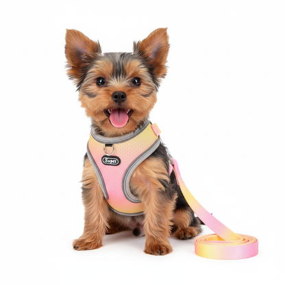 SupetGo™ – Harnais réglable et réfléchissant pour chiens et chats