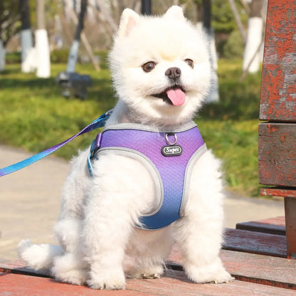 SupetGo™ – Harnais réglable et réfléchissant pour chiens et chats