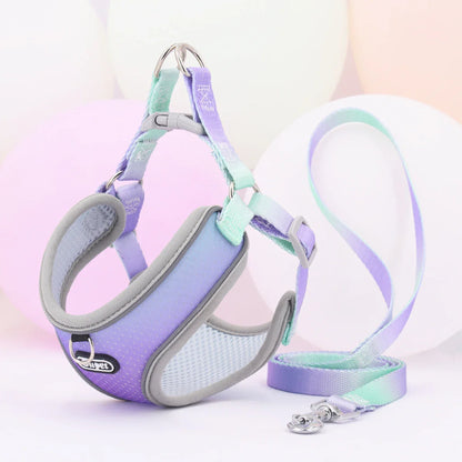 SupetGo™ – Harnais réglable et réfléchissant pour chiens et chats