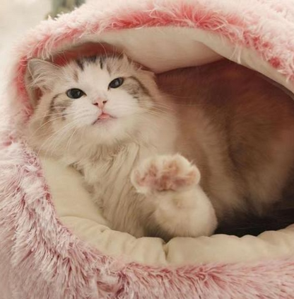 DoudouCat™ – Lit cocon ultra-moelleux pour chat