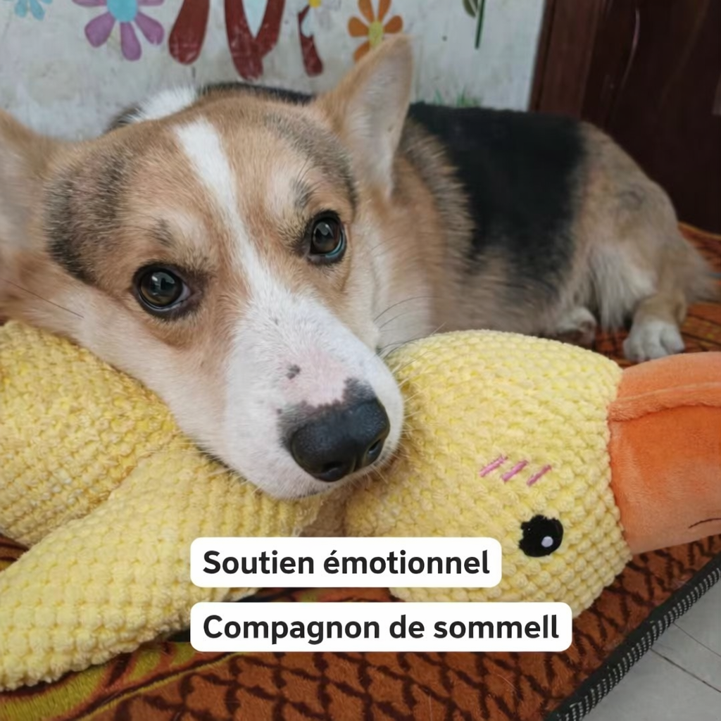 DoudouDuck™ – Jouet sonore apaisant pour chiens