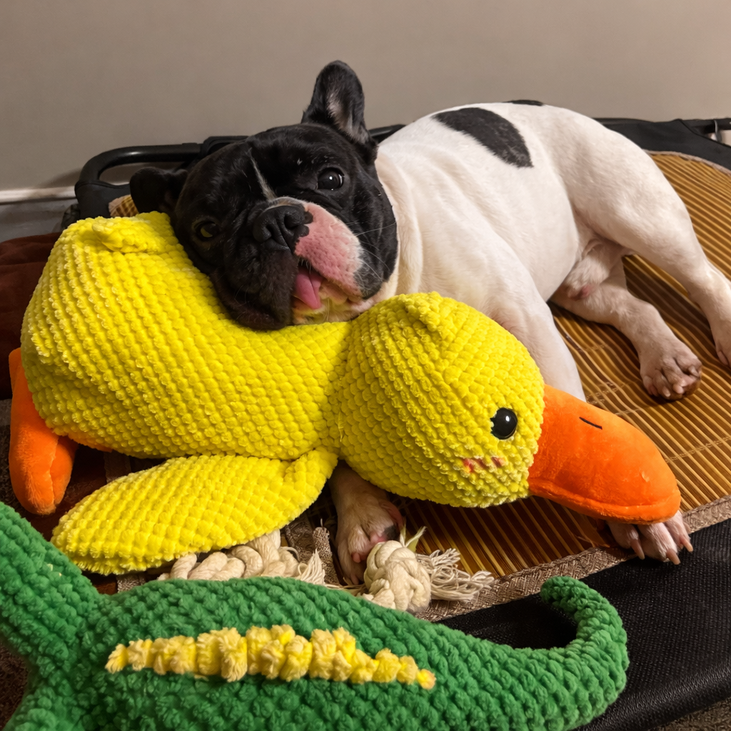 DoudouDuck™ – Jouet sonore apaisant pour chiens