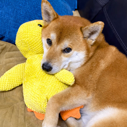 DoudouDuck™ – Jouet sonore apaisant pour chiens
