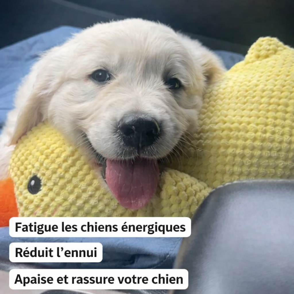 DoudouDuck™ – Jouet sonore apaisant pour chiens