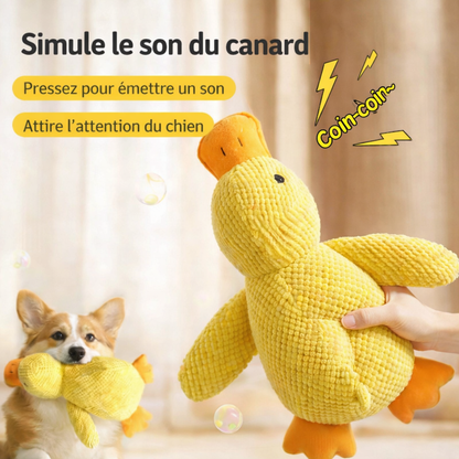 DoudouDuck™ – Jouet sonore apaisant pour chiens
