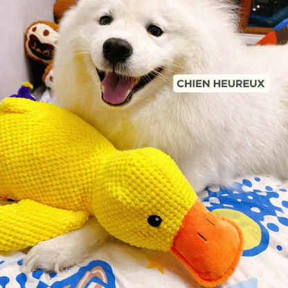 DoudouDuck™ – Jouet sonore apaisant pour chiens
