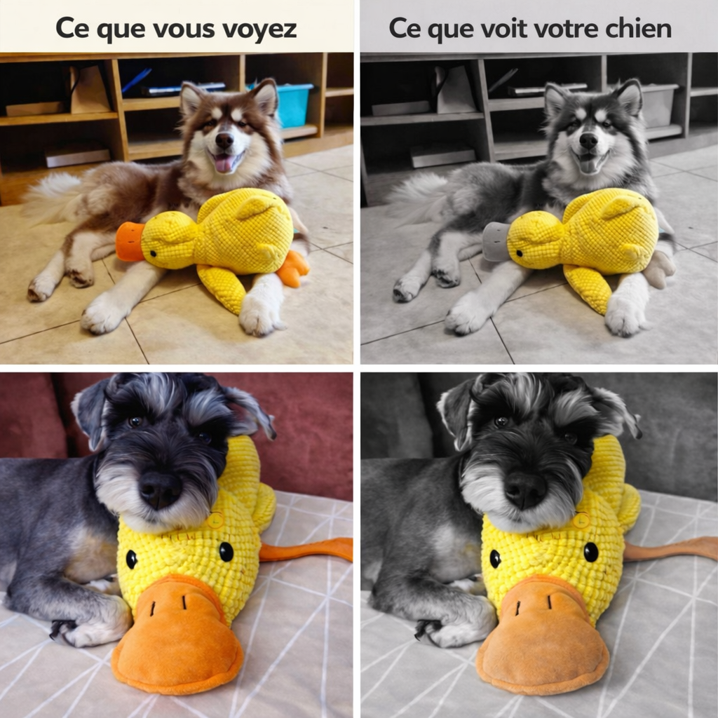 DoudouDuck™ – Jouet sonore apaisant pour chiens