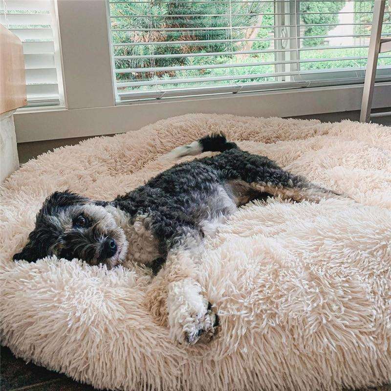 Doudoux™ – Coussin apaisant et orthopédique pour chien