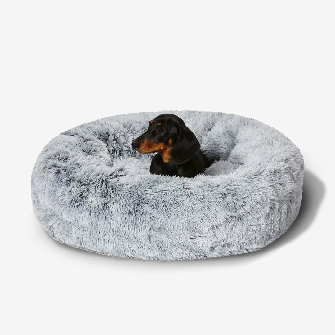 Doudoux™ – Coussin apaisant et orthopédique pour chien