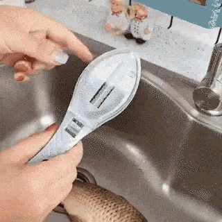 FishBox™ – Écailleur de poisson avec boîte anti-éclaboussures