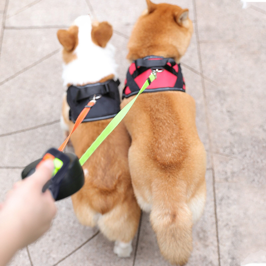 FlexiDuo™ – Laisse double anti-torsion pour deux chiens, avec lumière LED