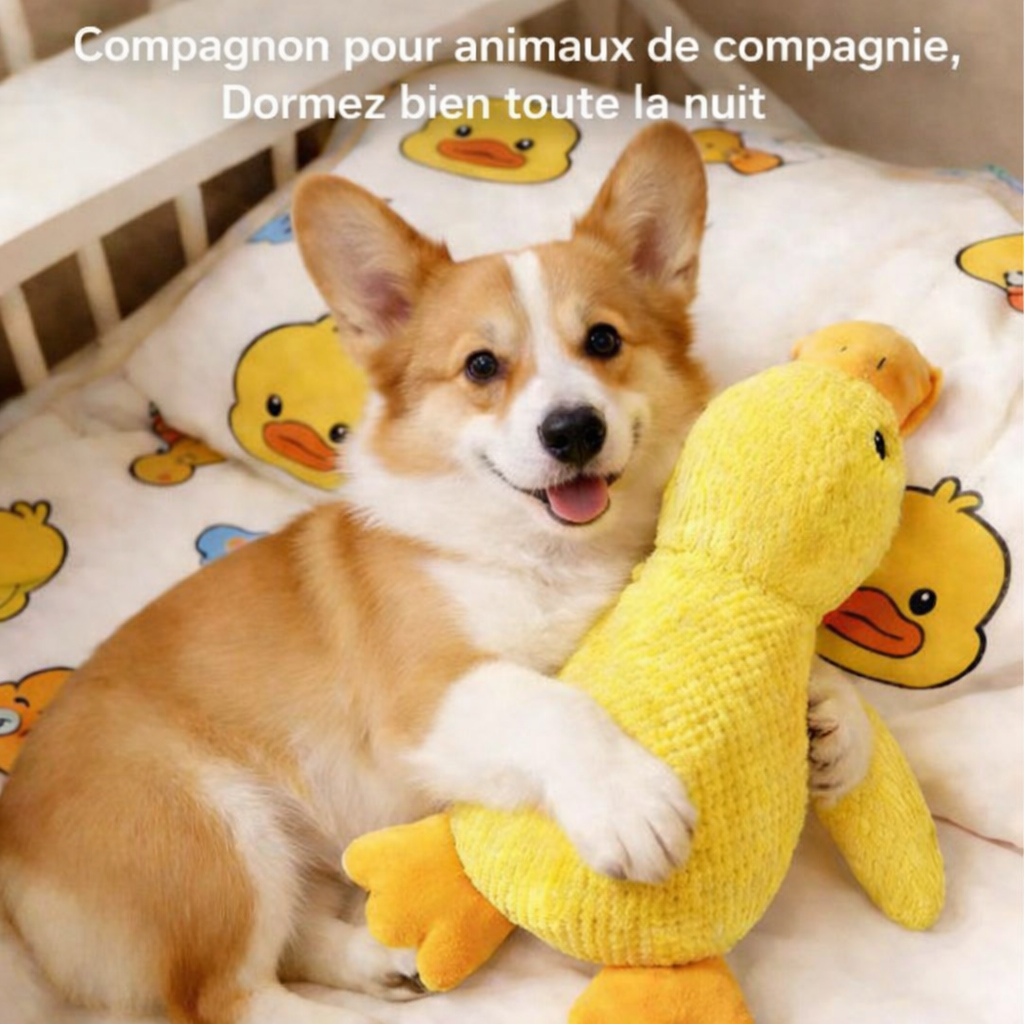 DoudouDuck™ – Jouet sonore apaisant pour chiens
