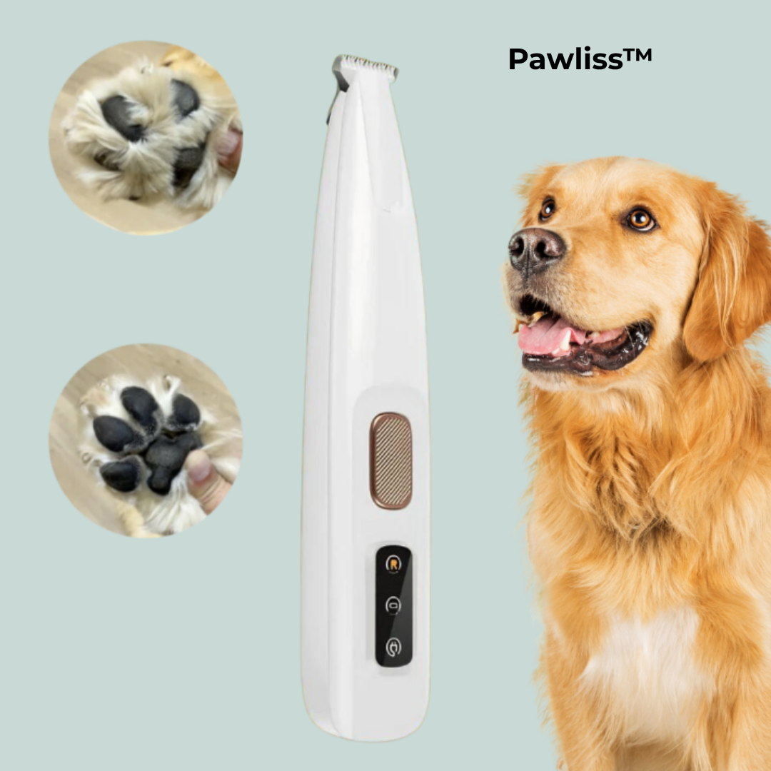 Pawliss™ – Tondeuse douce & silencieuse pour animaux à poils sensibles